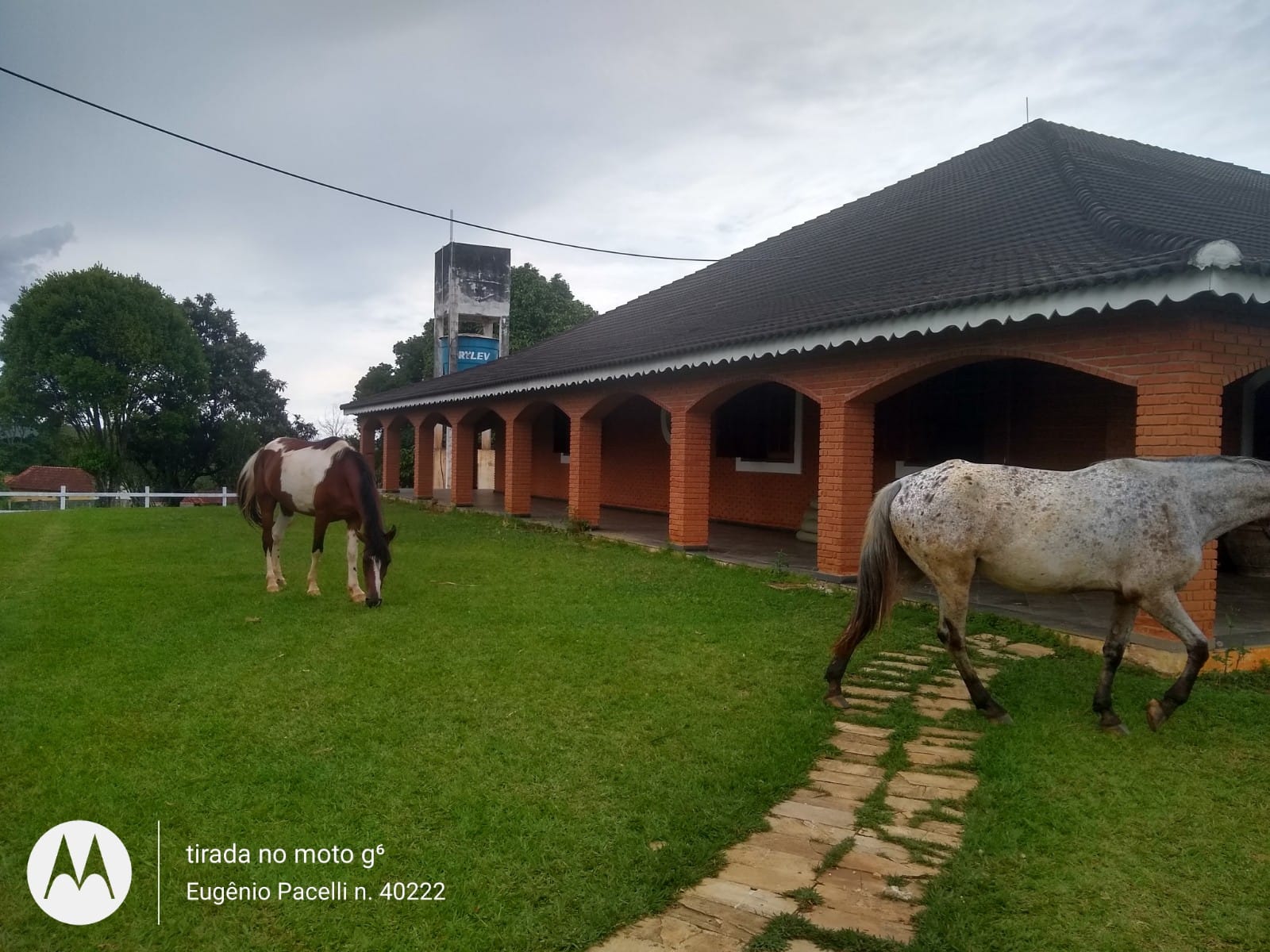 WhatsApp Image 2025-10-29 at 11.09.16