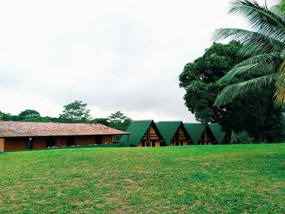 WhatsApp Image 2025-10-29 at 11.09.54