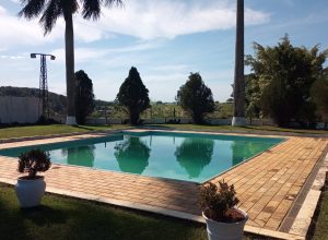 WhatsApp Image 2025-10-29 at 11.09.15