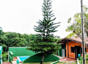 WhatsApp Image 2025-10-29 at 11.09.51