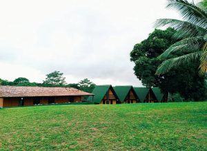 WhatsApp Image 2025-10-29 at 11.09.54